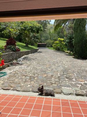 Foto 2 de Finca en Copacabana
