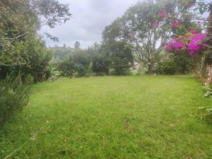 Foto 2 de Lote en Guarne Vereda San José