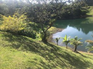 Foto 3 de Finca En El Peñol Vereda Bonilla
