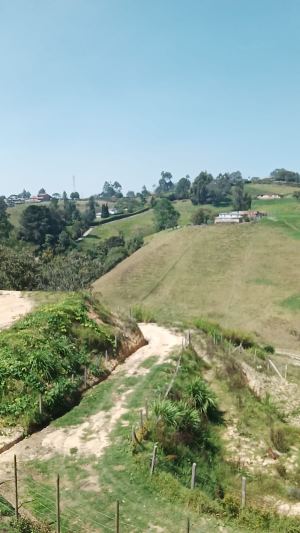 Foto 4 de Finca en San Félix