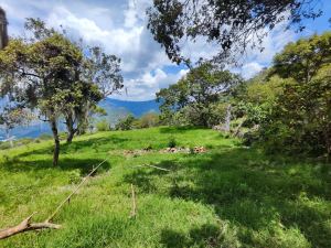 Foto 1 de Lote en Copacabana Vereda el Zarzal