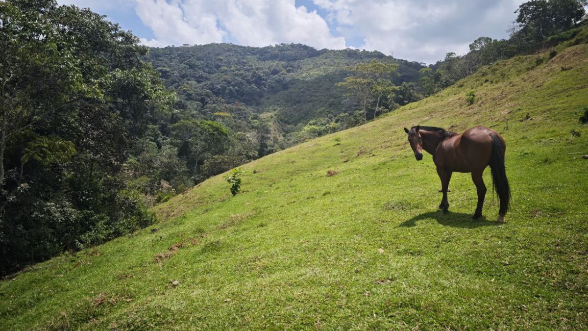 Lote en Vereda Jaguas, San Rafael, Antioquia