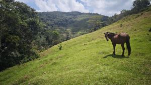 Foto 1 de Lote en San Rafael Vereda Jaguas