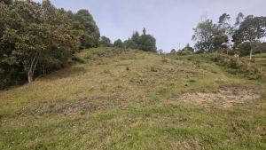 Foto 8 de Lote en Guarne Vereda San Isidro