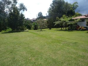 Foto 2 de Finca en Rionegro Vereda Pontezuela