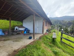 Foto 4 de Finca en Caldas la Miel Fácil Acceso