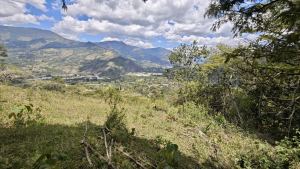Foto 1 de Lote en Girardota Vereda el Limonar