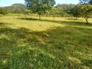 Foto 2 de Lote en Venta Porce en Unidad Cerrada Plano