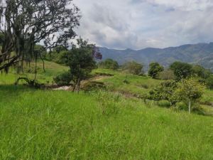Foto 1 de Lote en Girardota vereda el totumo