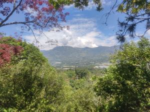 Foto 4 de Finca en Girardota Vereda el Totumo Buena Vista