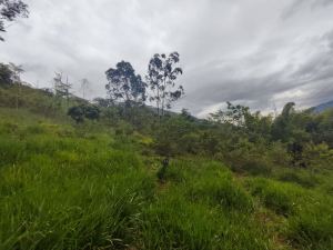 Foto 1 de Lote en Girardota Vereda Portachuelo