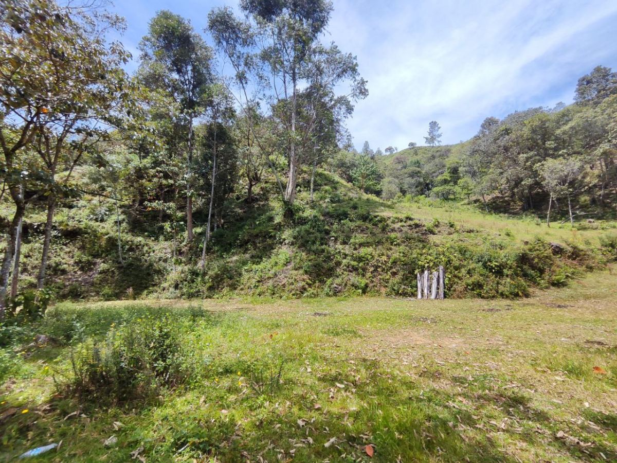 Lote en El Retiro, El Retiro, Antioquia