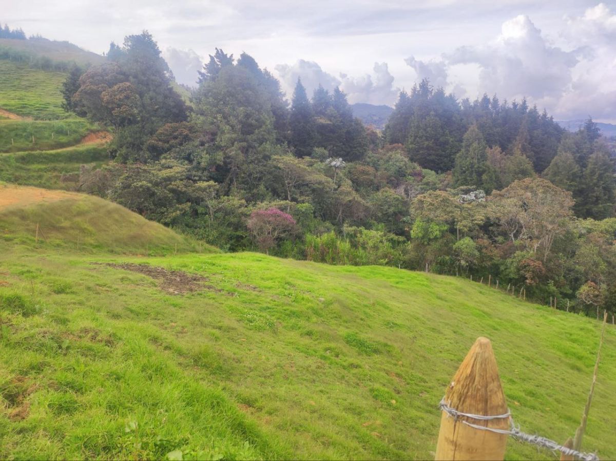 Lote en San Isidro, Guarne, Antioquia