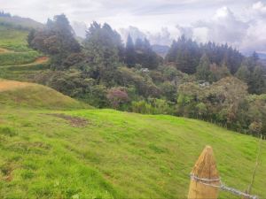 Foto 1 de Lote en Guarne Vereda San Isidro
