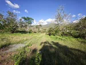 Foto 1 de Lotes en Sopetran Topografía Plana Vereda Tafetanes