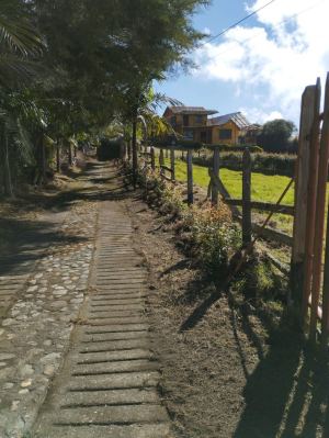 Foto 4 de Finca en San Pedro Alta Mixtura