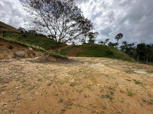 Foto 2 de Lote en Barbosa area 1500 m2 topografía plana tendida