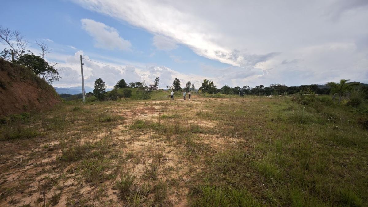 Lote en Vereda El Bosque, Yolombo, Antioquia