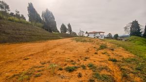 Foto 1 de Lote de 4.200 M² en Venta en la Vereda San Isidro, Guarne