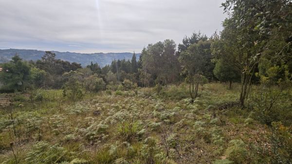 Lote de 1.970 m² en venta en la vereda San Isidro, Guarne