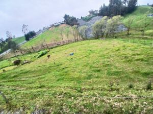Foto 2 de Lote en Venta en San Pedro de los Milagros de 2600 M²