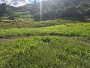 Foto 1 de Lote en Venta en Alto de Matasano, Barbosa de 6899 M²