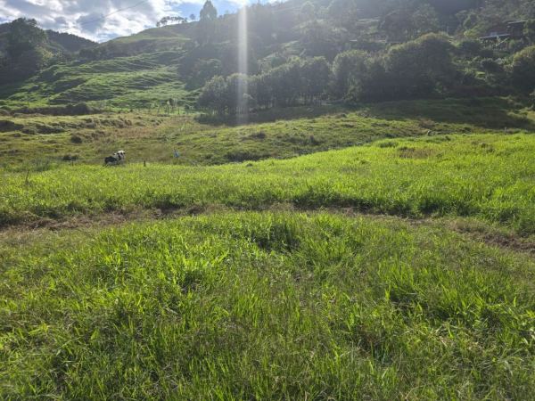 Lote de 6.899 m² en venta en Alto de Matasano, Barbosa