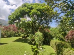 Foto 6 de Finca en Venta en Vereda el Totumo, Girardota de 4000 M²