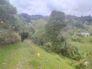Foto 7 de Lote en Venta en Vereda San José, Guarne de 7200 M²