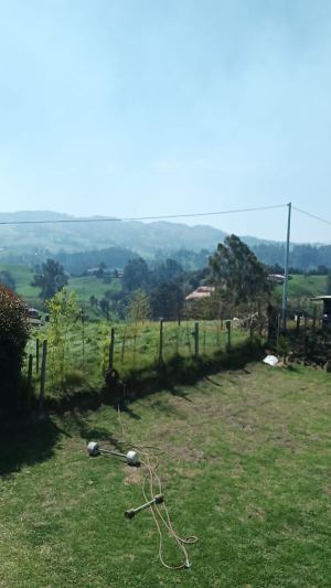Foto 3 de Finca en San Félix