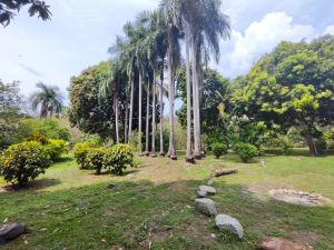 Foto 2 de Finca en Sucre Olaya Cerca al Pueblo Topografía Plana