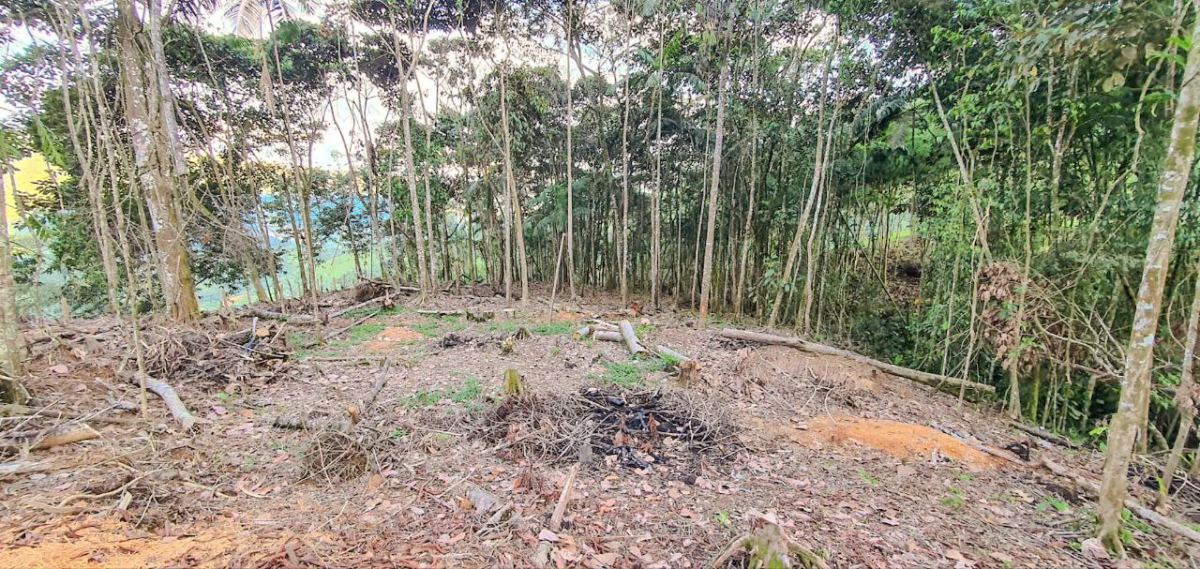 Lote en Cocorna, Cocorná, Antioquia, Colombia
