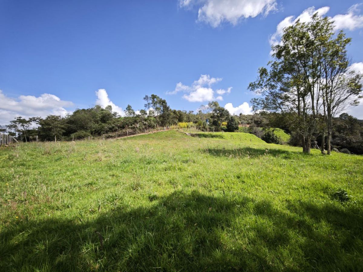 Lote en San Pedro, San Pedro de los Milagros, Antioquia