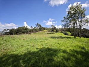 Foto 1 de Lotes en San Pedro de los Milagros
