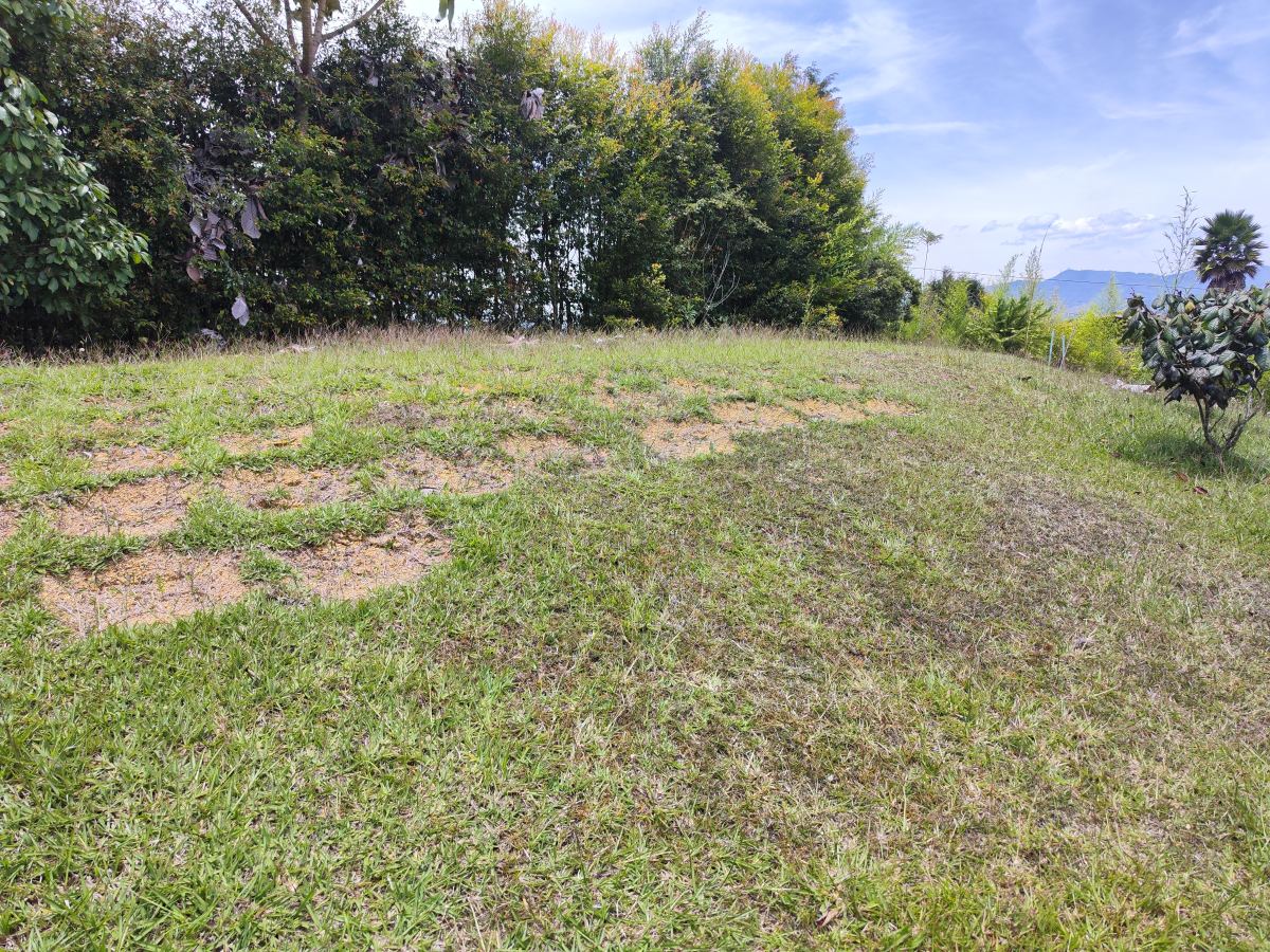 Lote en Guarne Vereda La Clara, Guarne, Antioquia