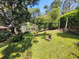Foto 7 de Finca en Venta en Vereda San Esteban, Girardota de 1000 M²