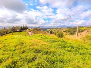 Foto 7 de Finca en Venta en San Vicente de 44000 M²