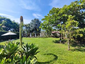 Foto 6 de Finca en Venta en Vereda San Esteban, Girardota de 1000 M²