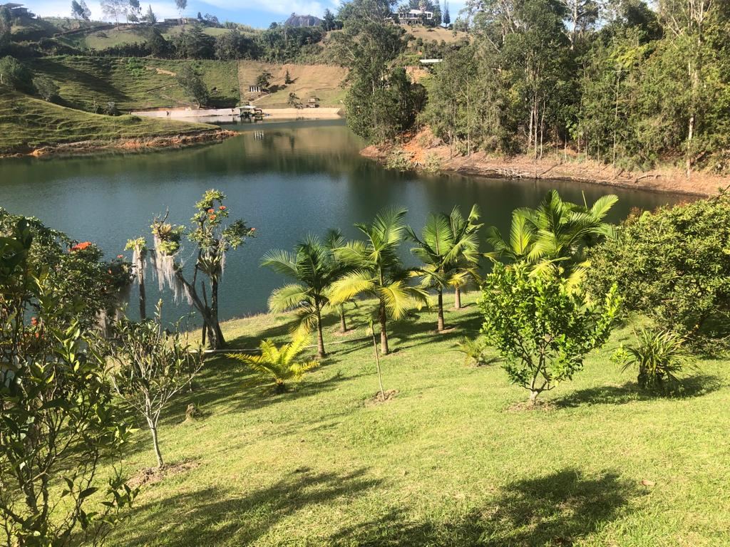 Finca en Vereda Bonilla, El Peñol, Antioquia