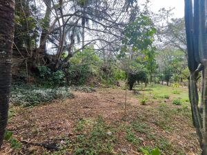 Foto 8 de Finca en Venta en Sucre, Santa Fe de Antioquia de 11000 M²