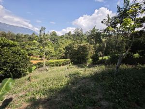 Foto 2 de Finca en Girardota Vereda el Totumo Hermosa Vista