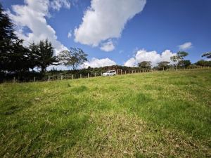 Foto 1 de Lote en Venta en Vereda Santa Barbara, San Pedro de los Milagros de 2843 M²