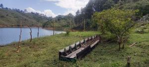 Foto 4 de Lote En El Peñol vereda la chapa