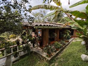 Foto 4 de Finca en Amaga Vereda Gualí