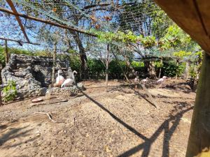 Foto 8 de Finca en Venta en Santa Fe de Antioquia de 12000 M²