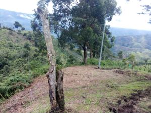 Foto 6 de Finca en Venta en la Vereda Chapa Baja, Barbosa