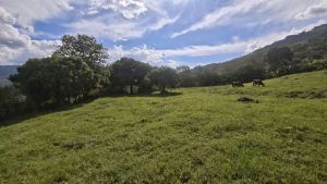 Foto 1 de Lote en Venta Copacabana el Noral