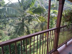 Foto 4 de Finca en la Estrella Vereda la Tablaza