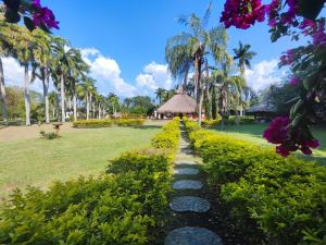 Foto 7 de Finca en Venta en Santa Fe de Antioquia de 12000 M²