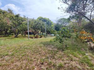 Foto 7 de Finca en Venta en Sucre, Santa Fe de Antioquia de 11000 M²